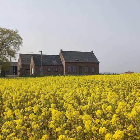 Spacious Holiday Home With Pond In Poperinge Roesbrugge-Haringe Luaran gambar